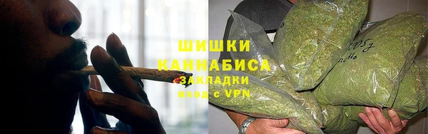 ECSTASY Гусь-Хрустальный