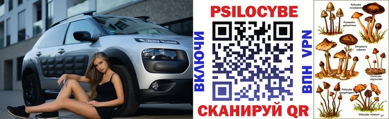 Галлюциногенные грибы Psilocybe  ссылка на мегу ссылки  Ярославль  где купить наркотик 