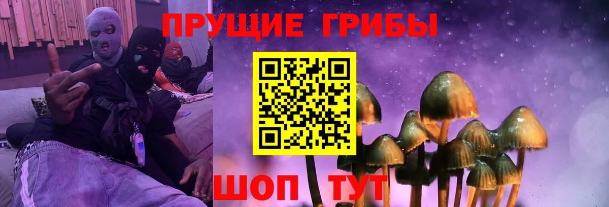 дарнет шоп  Псилоцибиновые грибы Cubensis  Псилоцибиновые грибы ЛСД  Вход с VPN  Ярославль 