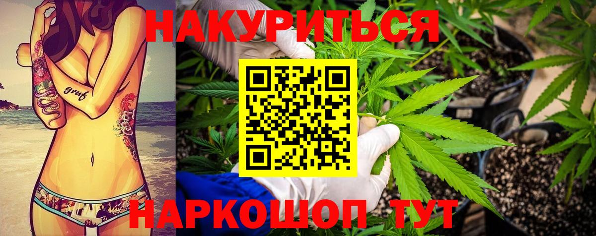 Конопля сатива  Конопля план  Каннабис марихуана  Вход с VPN  Ярославль 
